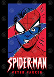 Spiderman Vector T-shirt Designs Bundle Templates